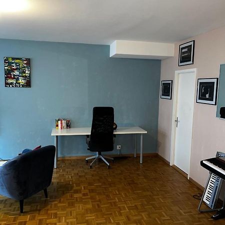Beautiful Large Studio In Center Of Geneva Free Wifi Apartamento Exterior foto