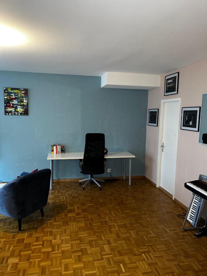 Beautiful Large Studio In Center Of Geneva Free Wifi Apartamento Exterior foto