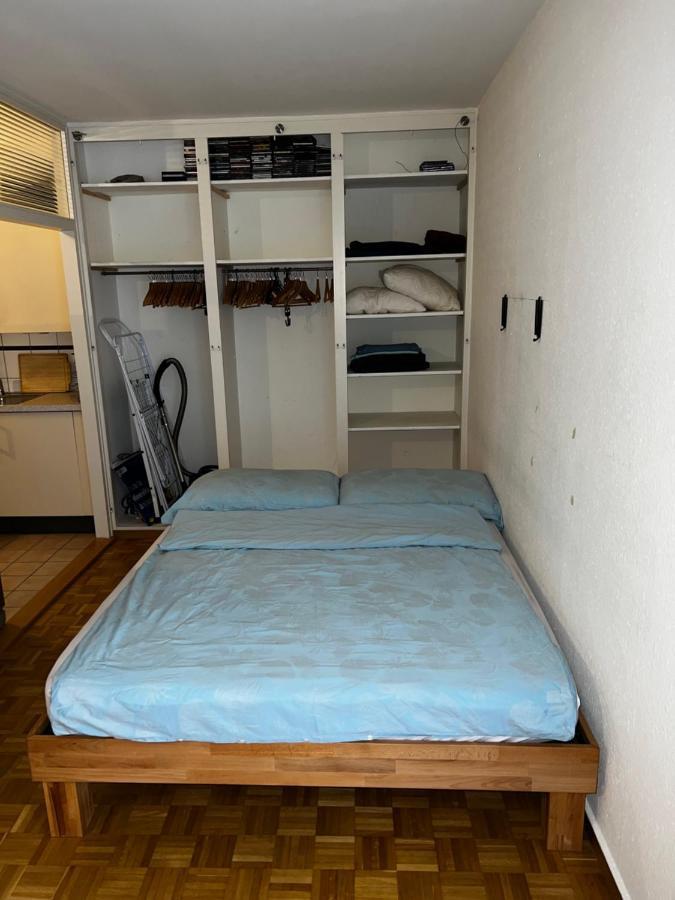 Beautiful Large Studio In Center Of Geneva Free Wifi Apartamento Exterior foto